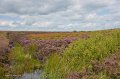 Near Lough Bradan